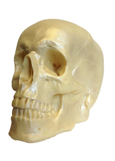 This anatomically correct, white chocolate skull makes a stylish and delicious Halloween party centrepiece 