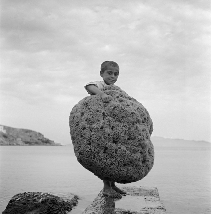 Δημήτρης Χαρισιάδης, Κάλυμνος, 1950 © Φωτογραφικό Αρχείο Μουσείου Μπενάκη
