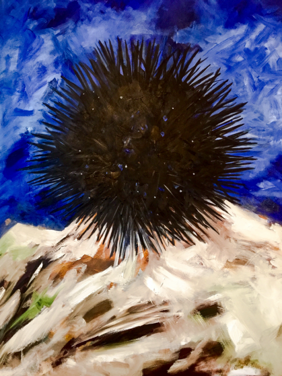 The sea urchin, oil on canvas, 100x80cm, 2016